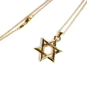 22 Ayar Altın Star of David Kolye